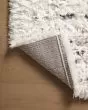 Amira AMI-03 Ivory/Multi Area Rug