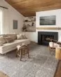 Amira AMI-04 Silver/Ivory Area Rug
