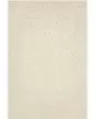 Annie ANN-04 White/Lt Grey Area Rug