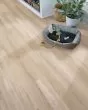 Arbor Terrace SolidTech Essentials Avery Luxury Vinyl