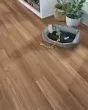 Arbor Terrace SolidTech Essentials Eastmont Luxury Vinyl