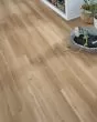 Arbor Terrace SolidTech Essentials Hartley Luxury Vinyl