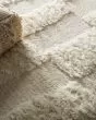 Ashby 8907F Ivory Area Rug