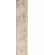 Astra Machine Washable ASW13 Beige Area Rug
