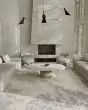 Aura 3563F Ivory/Silver/Gold Area Rug