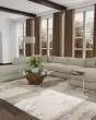 Aura 3737F Gray/Ivory/Gold Area Rug