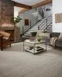 Ava AVA-01 Dove/Ivory Area Rug