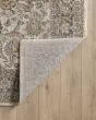 Avani Ivory Medallion Area Rug