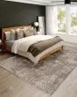 Antalya AY3 Silver Area Rug