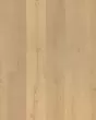 Belhancourt Vintage Tea Oak BelleLuxe 9" Laminate