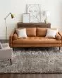 Billow Shag Taupe Area Rug
