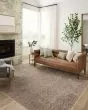 Blake BLA-03 Taupe/Blue Area Rug