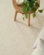 Burbank Oatmeal Wool Carpet