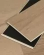 Cali Legends Oyster Isle Vinyl Plank