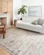 Cassandra CSN-03 Dove/Navy Area Rug