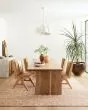 Cecelia CEC-01 Rust/Natural Area Rug