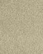 Cherished Tradition Bare Necessities Kashmere Carpet