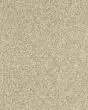 Cherished Tradition Haven Kashmere Carpet