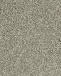 Cherished Tradition Raven Kashmere Carpet