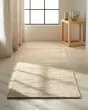 Calvin Klein Mesa MSA01 Gypsum Area Rug