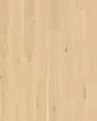 Collington Corked Oak 7.5" White Oak Hardwood