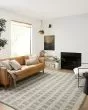 Colton CON-03 Ivory/Sage Area Rug