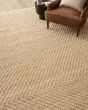 Colton CON-04 Natural/Ivory Area Rug