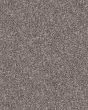 Confidence II Alaskan Air Textured Carpet