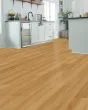 Covington Falls SolidTech Select Arden Luxury Vinyl