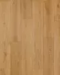 Covington Falls SolidTech Select Arden Luxury Vinyl