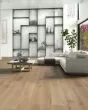 Coastside 9" La Jolla Shores White Oak Hardwood