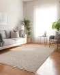 Cyprus CY10 Grey Area Rug