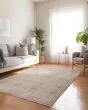 Cyprus CY1 Linen Area Rug
