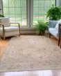 Cyprus CY4 Ivory Area Rug