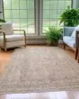 Cyprus CY7 Aloe Area Rug