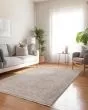 Cyprus CY9 Silver Area Rug