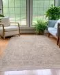 Cyprus CY9 Silver Area Rug