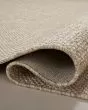Dawn DAW-04 Natural Area Rug