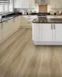 Discovery Ridge SolidTech Essentials Brushed Beige Vinyl