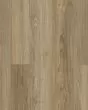 Discovery Ridge SolidTech Essentials Brushed Beige Vinyl