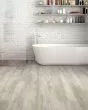 Discovery Ridge SolidTech Essentials Canvas Luxury Vinyl