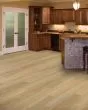 Discovery Ridge SolidTech Essentials Coffee House Tan
