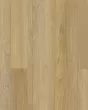Discovery Ridge SolidTech Essentials Coffee House Tan