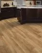 Discovery Ridge SolidTech Essentials Richmond Gold Vinyl