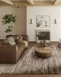 Denizi DZ1 Mocha Area Rug
