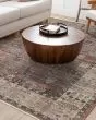 Echo Tesorino Pudra Area Rug