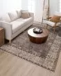 Echo Tesorino Pudra Area Rug