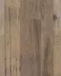 Nature s Canvas Silver Hickory Mystic Vapor