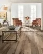 Nature s Canvas Silver Hickory Mystic Vapor