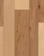 Nature s Canvas Silver Hickory Natural